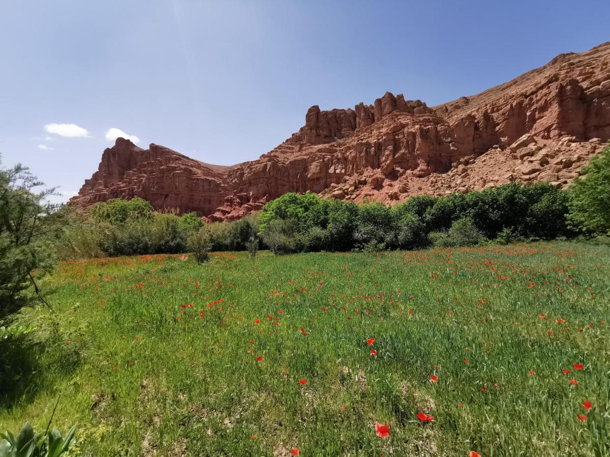 Bab El Atlas Kelaat-M'Gouna 외부 사진