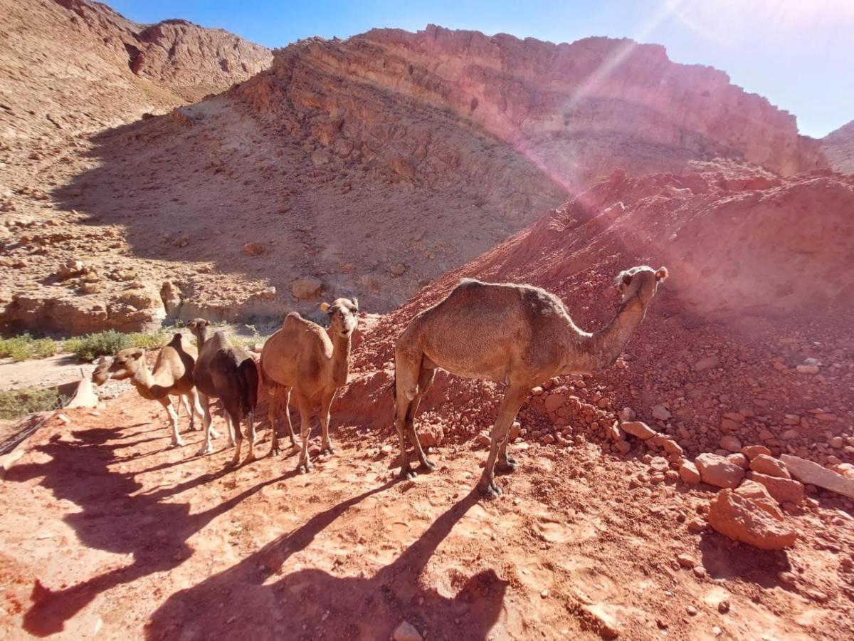 Bab El Atlas Kelaat-M'Gouna 외부 사진